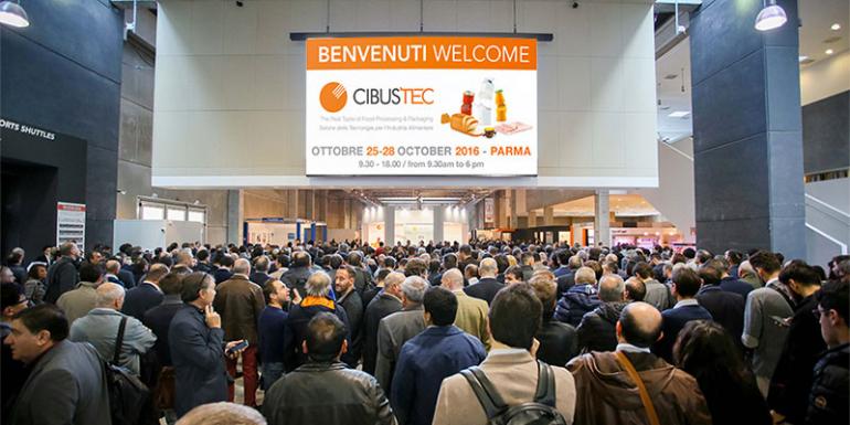 Shelfy  Cibustec